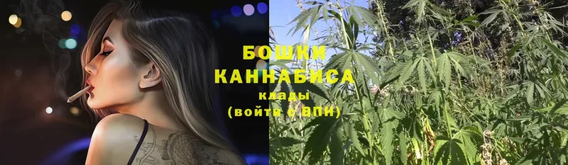 купить   Гаврилов-Ям  Шишки марихуана OG Kush 